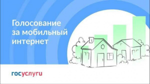 Голосование за подключение к мобильному интернету малых населённых пунктов